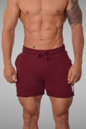 Young LA 102 Bodybuilding French Terry Shorts Bordeaux | TJBCP8569