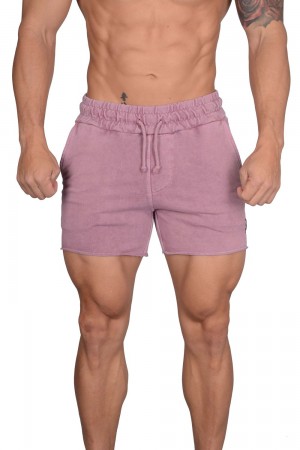 Young LA 102 Bodybuilding French Terry Shorts Paars | DOHPW2896