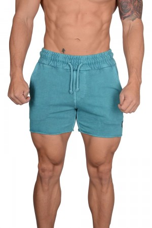 Young LA 102 Bodybuilding French Terry Shorts Aqua | GJKFP0854