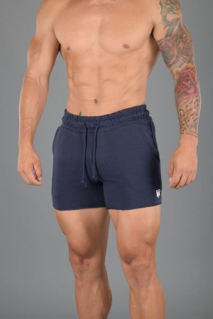 Young LA 102 Bodybuilding French Terry Shorts Donkerblauw | GQCTN1539