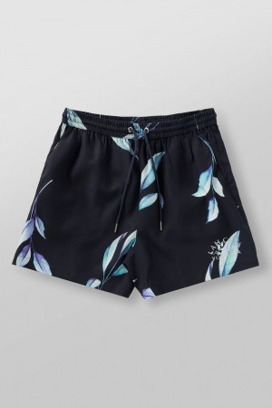 Young LA 1038 - Lah Casa Shorts Zwart | JWHVR0793