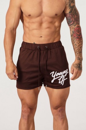 Young LA 104 Legacy Shorts Donkerbruin | GDUQX6053