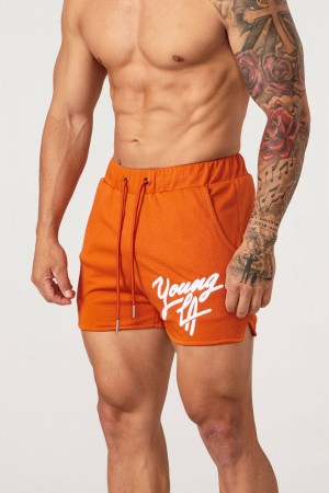 Young LA 104 Legacy Shorts Oranje | ARVFU9510