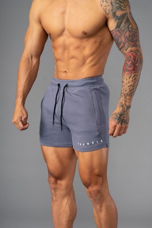 Young LA 113 The Perfect Short Shorts Grijs | SDOCA6402