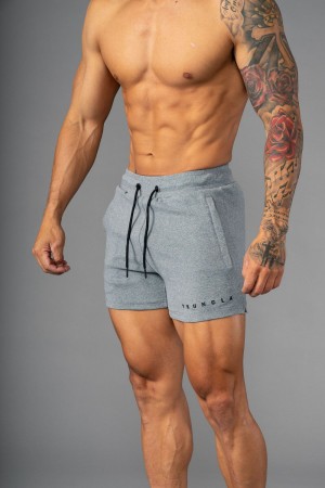 Young LA 113 The Perfect Short Shorts Lichtgrijs | ZLIRD6583