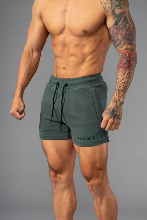 Young LA 113 The Perfect Short Shorts Olijfgroen | CQLOS8129