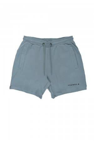 Young LA 118 The Perfect Shorts Blauw | YMRDA1973