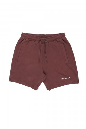 Young LA 118 The Perfect Shorts Bordeaux | HLOMG2547