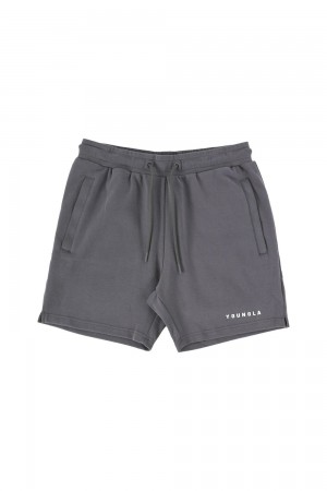 Young LA 118 The Perfect Shorts Grijs | HISTX6387