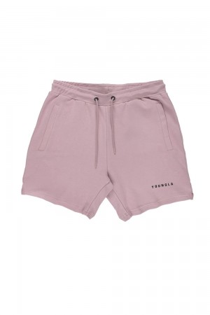 Young LA 118 The Perfect Shorts Paars | UWLIG3709