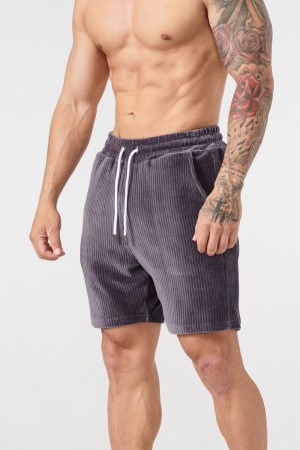 Young LA 119 Cord Collection - Shorts Grijs | EQHSM6304