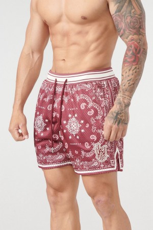 Young LA 132 Infamous Bandana Shorts Bordeaux | IUZWK4582