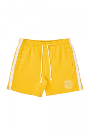 Young LA 137 - Golden Era Bodybuilding Shorts Geel | YHPWM6241