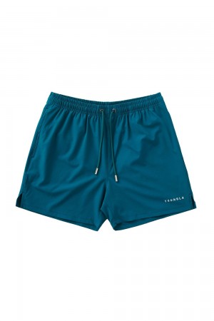 Young LA 140 Frooty Swim Shorts Teal | LYNUV3815