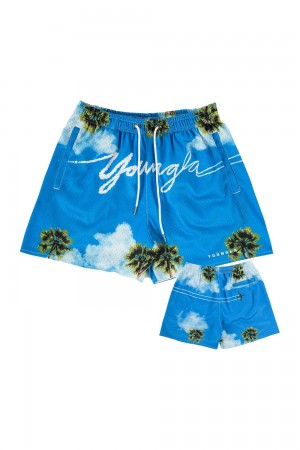 Young LA 141 The Block Party Shorts Blauw | FXZBR3540