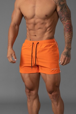 Young LA 143 Short Short Swim Shorts Oranje | DZJIS3587