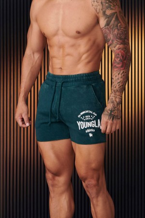 Young LA 152 - Immortal Shorts Groen | EDZQR6804