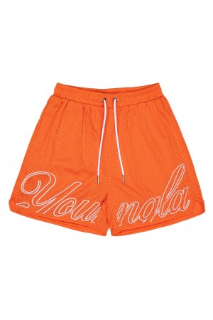 Young LA 155 Championship Shorts Oranje | SHOIJ4892