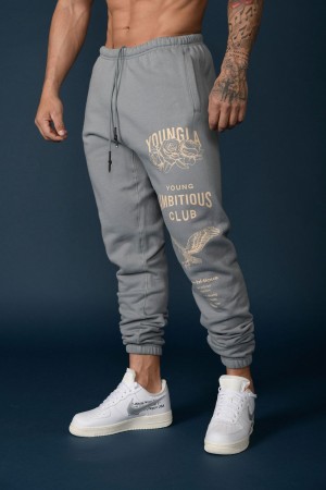 Young LA 233 The Immortal Joggers Lichtgrijs | MVLPA9423