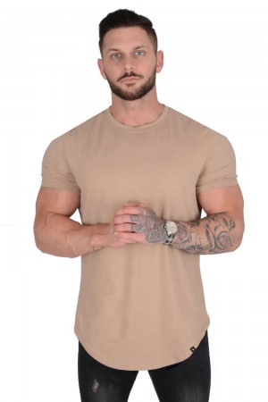 Young LA 402 Perfect Tee - Scallop Bottom Beige | VKINE9726