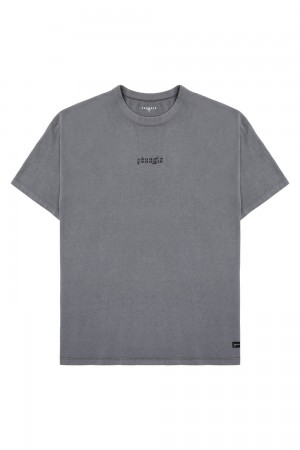 Young LA 471 Chrome Tees Grijs | DQXJE7362