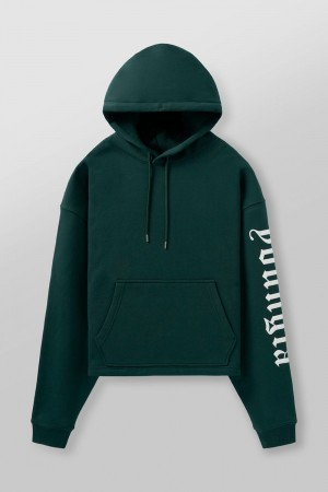 Young LA 5093 - Freeflow Hoodies Groen | PJZTQ7456