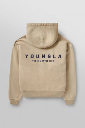 Young LA 533 - Immortal Club Hoodies Beige | MGDHO4756