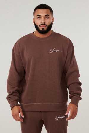 Young LA 807 Cozy Thermal Longsleeves Bruin | MOGXT7930