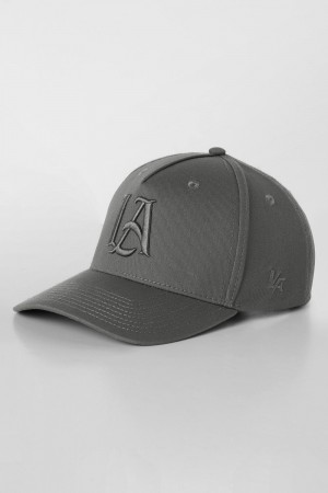 Young LA 9006 - Monochrome La Hats Grijs | SUQEA1628