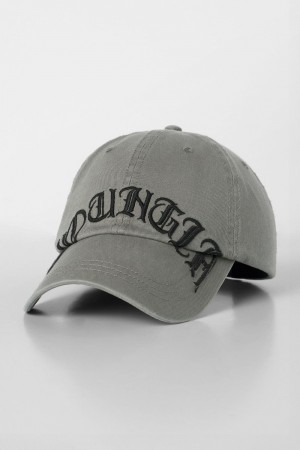 Young LA 9029 - Arch Dad Hats Grijs | INZJA5816