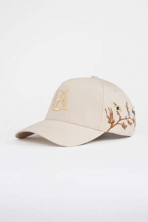 Young LA 918 La Branch Hats Beige | BDWIF5102