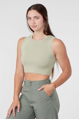 Young LA W317 Knit Tank Olijfgroen | EOTLM5160