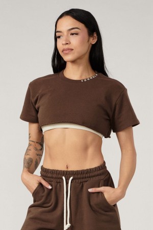 Young LA W407 Super Cropped Tee Donkerbruin | VLMTU3897