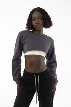 Young LA W501 Super Crop Sweater Grijs | CSIWM8601