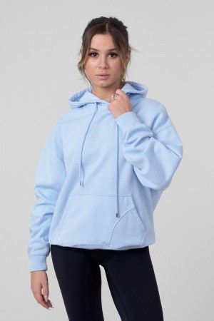 Young LA W518 - Minimal Hoodie Blauw | OTXQZ8641