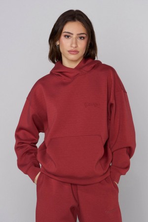 Young LA W534 Scuba Hoodie Rood | ENASB2470