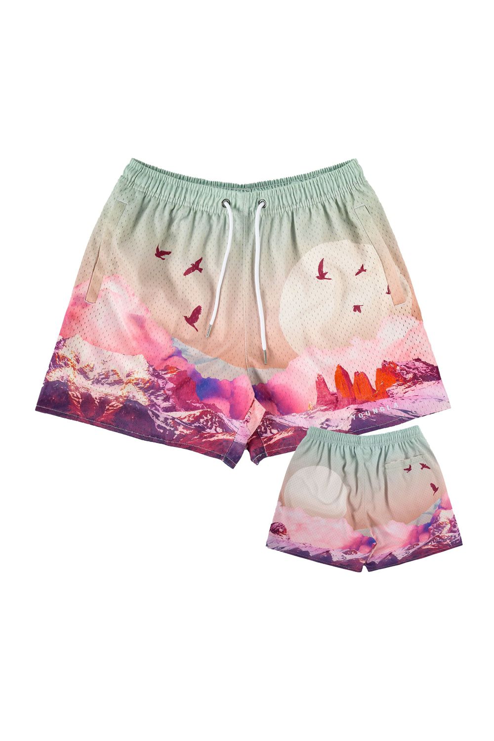 Young LA 141 The Block Party Shorts Gekleurd | MNUGF0246