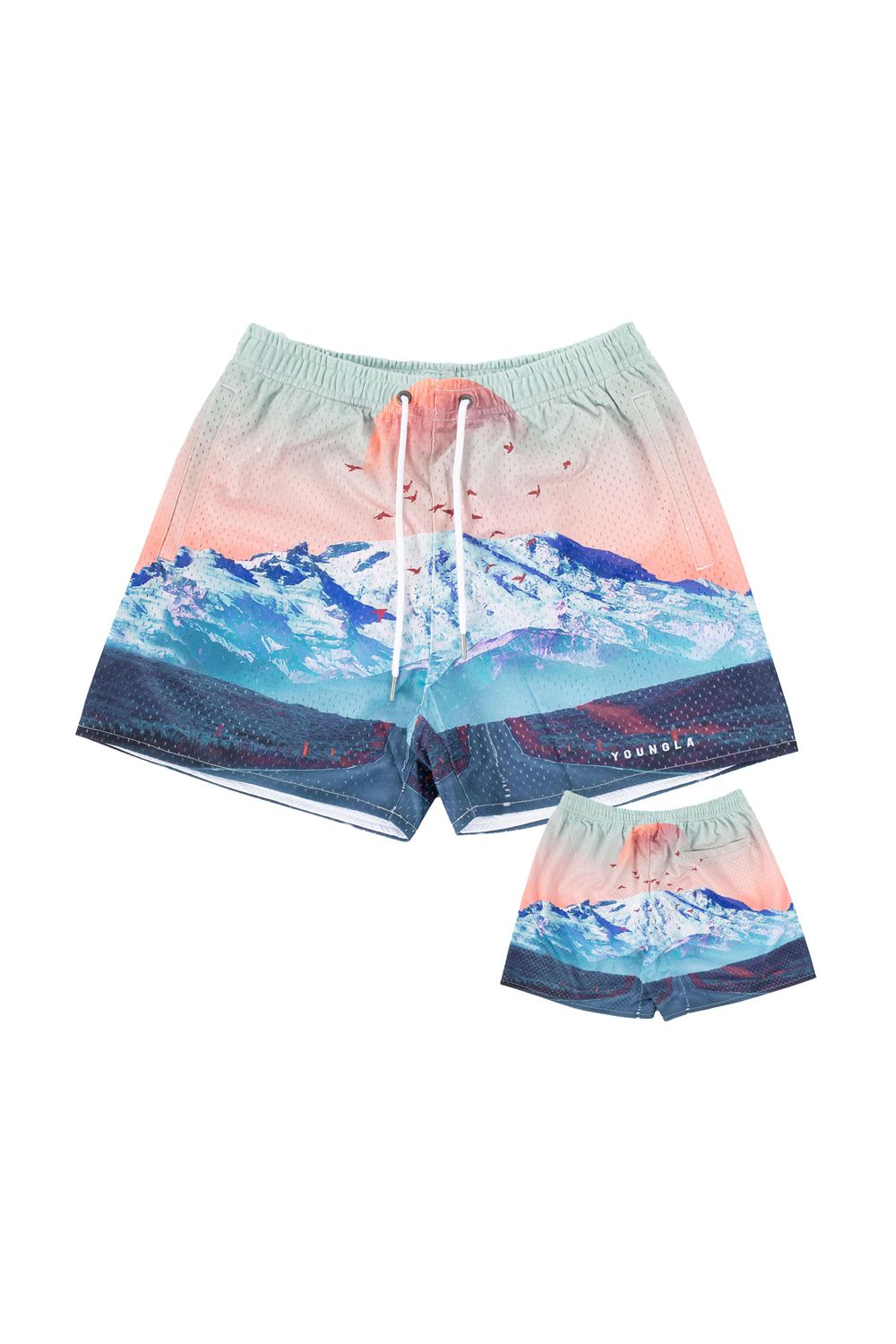 Young LA 150 After Party Shorts Gekleurd | FVQYK4153