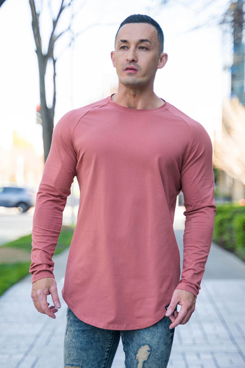 Young LA 410 Perfect Raglan Long Sleeve Shirts Roze | BZPXV5914