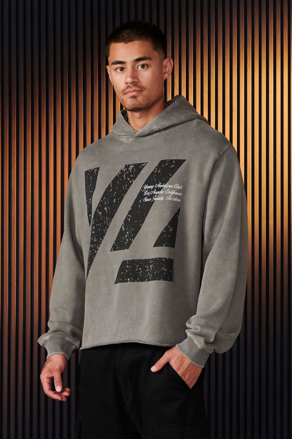 Young LA 568 - Icon Washed Hoodies Grijs | WRYVM2453